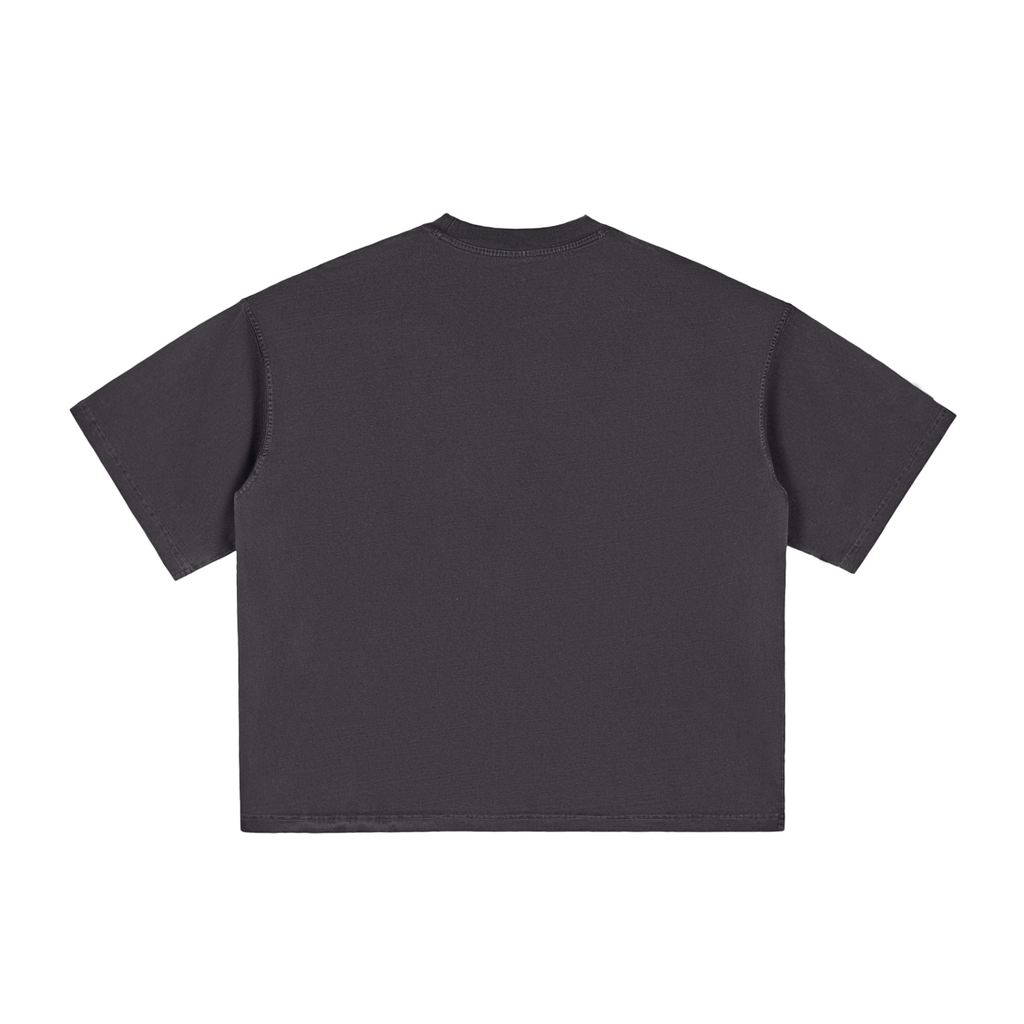 Proverbs 16:9 Vintage Washed Boxy T-Shirt