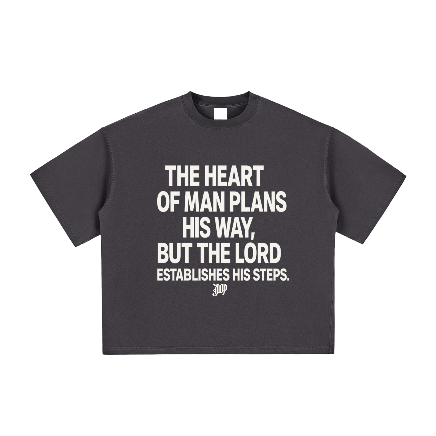 Proverbs 16:9 Vintage Washed Boxy T-Shirt