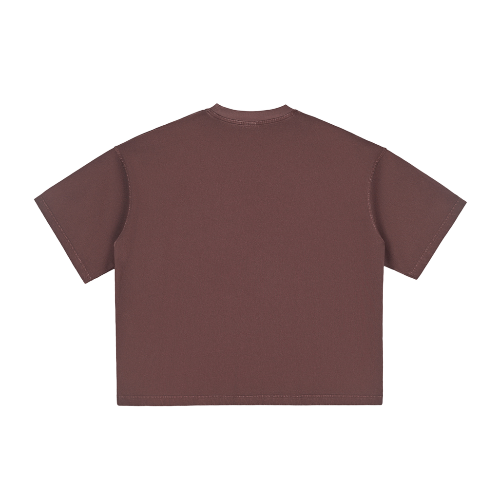 Proverbs 16:9 Vintage Washed Boxy T-Shirt