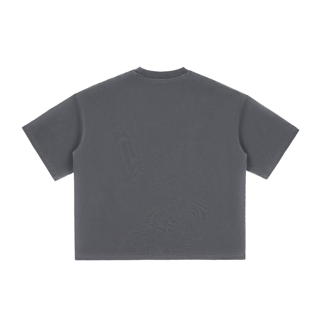 Proverbs 16:9 Vintage Washed Boxy T-Shirt