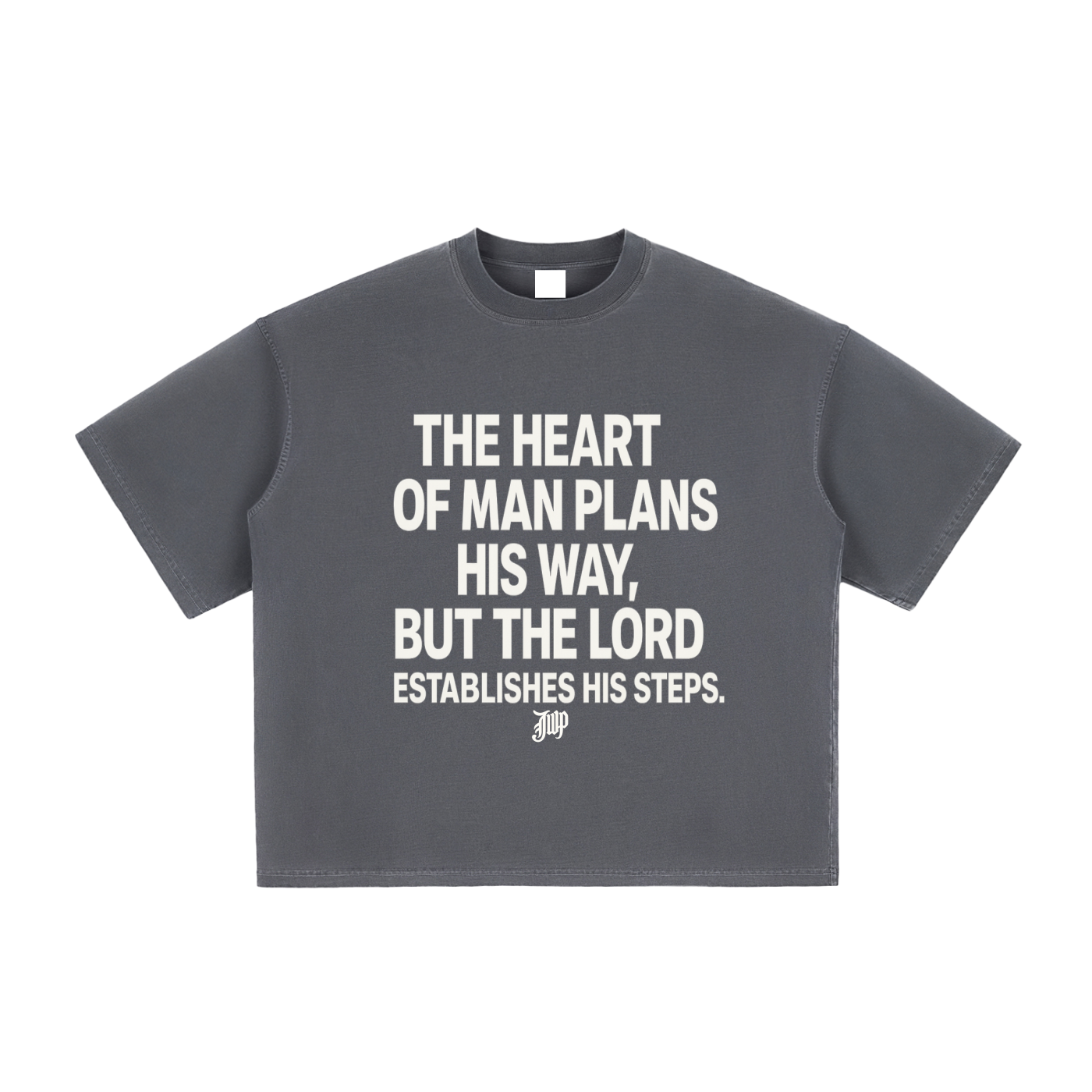 Proverbs 16:9 Vintage Washed Boxy T-Shirt